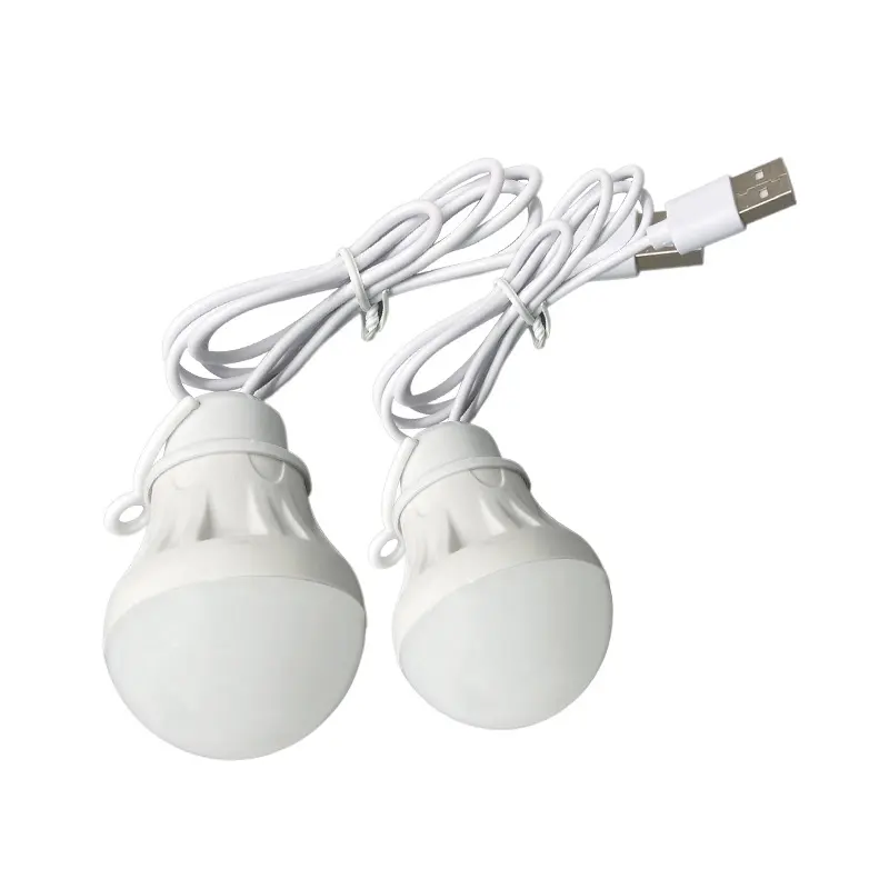 Low Voltage Led Globe USB Bulb 5V Available Outdoor