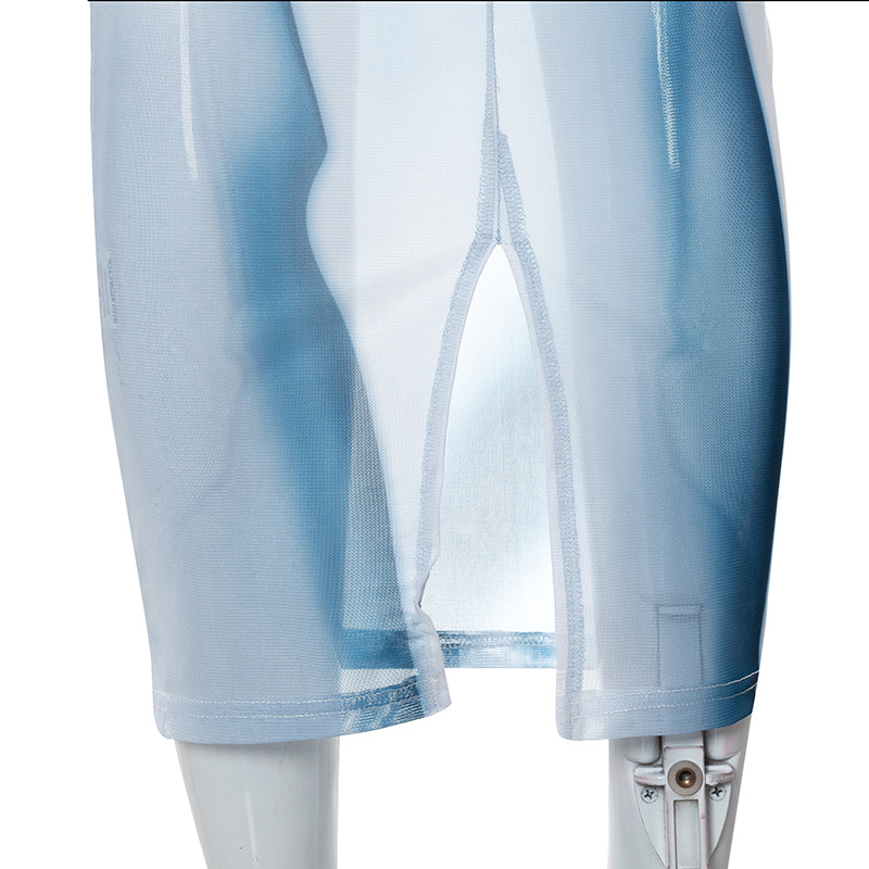 Mesh Print Round Neck Long Dress