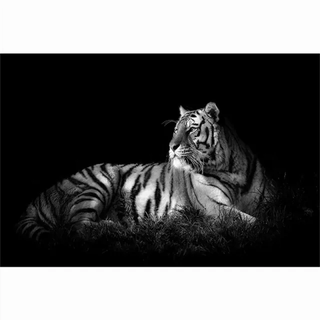 Modern Animal Canvas Painting Tiger Head Black And White Posters Aq2024 - Shop at LoveMi