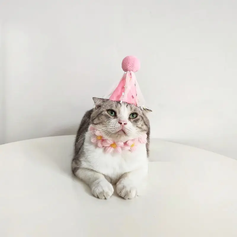 Pet Cat Cute Cross-dressing Birthday Color Dress Up Headdress
