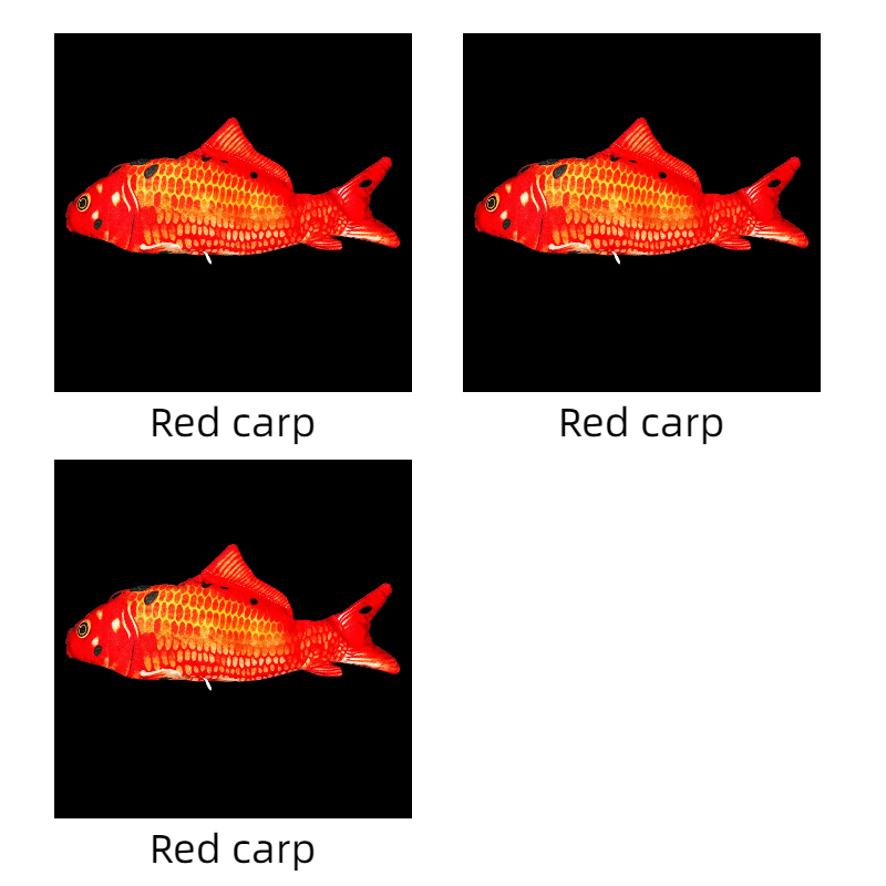 Red carp 3pcs