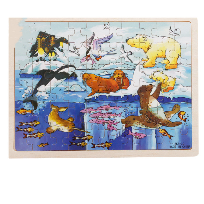 Polar Animal Puzzle