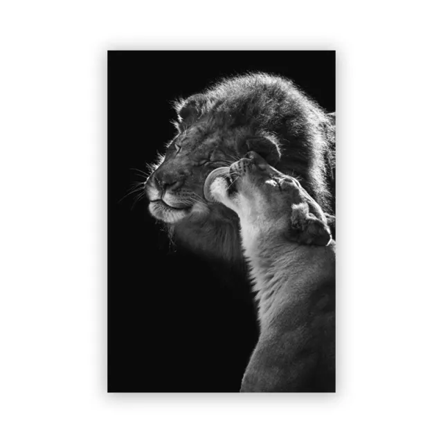Black And White Animal Abstract Watercolor Painting Wall Poster Decoration Painting Pc9247 - Shop at LoveMi