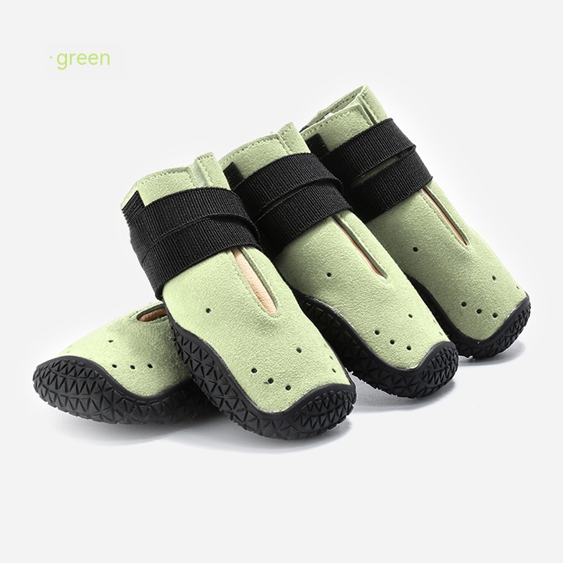 Title 5, Four Seasons With Holes Pet Shoes