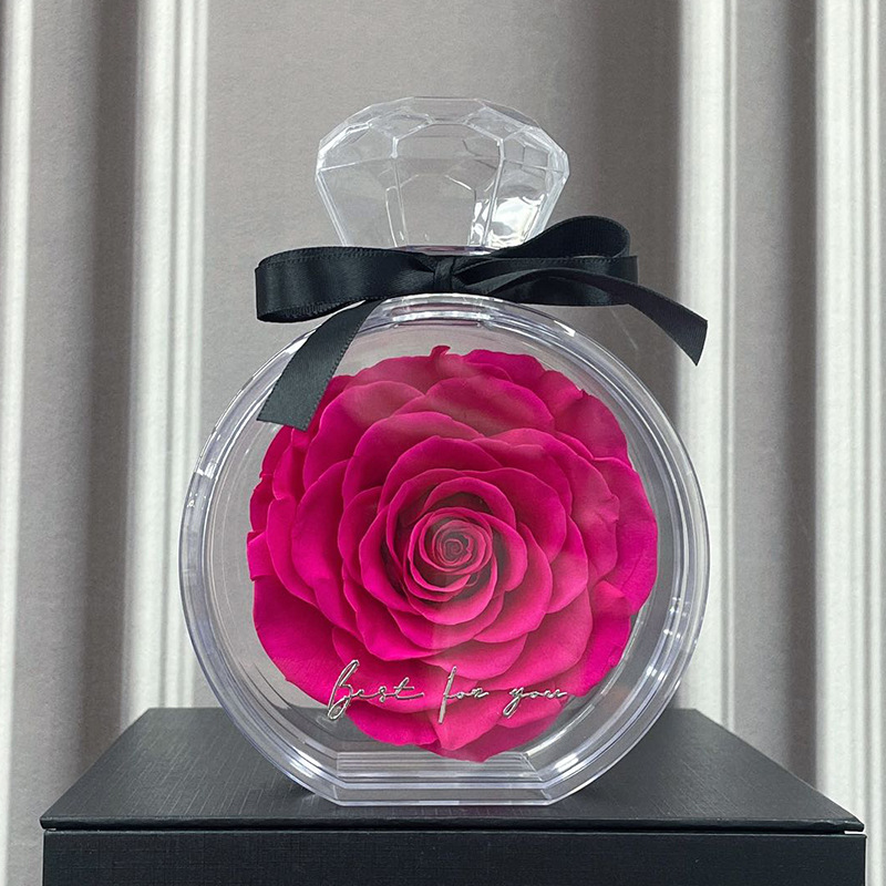 Natural Eternal Flower Ornament – Preserved Rose Gift Box with Transparent Cover for Home Décor - Image 7