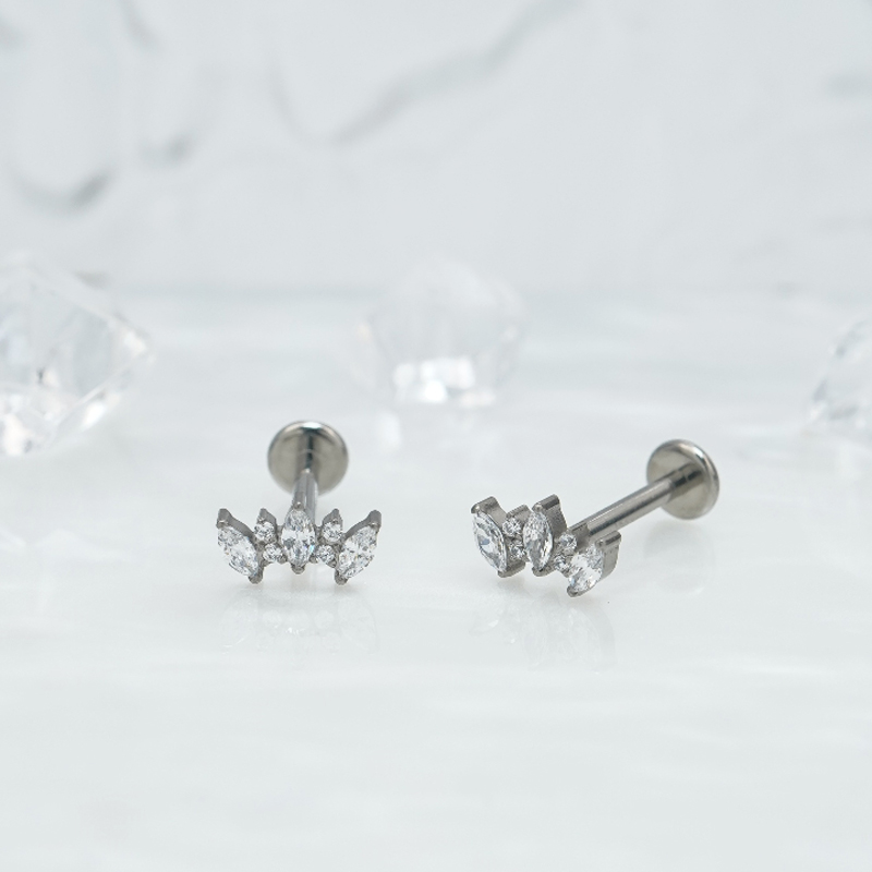 1pair Of Women's Earrings With Floral Stainless Steel Zircon Earrings Crystal Cluster Bloom