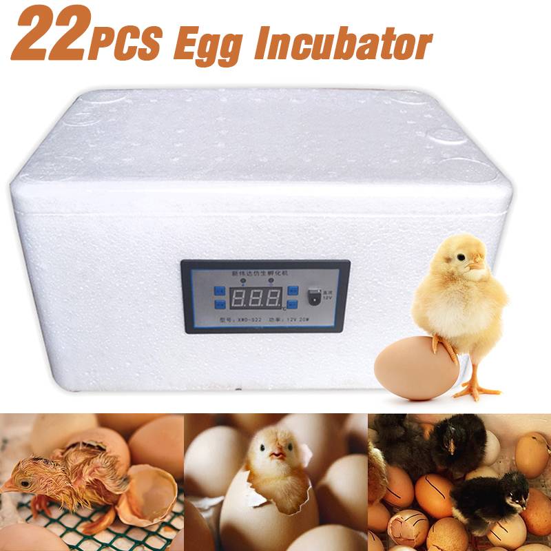 Homemade Thermostatic Incubator With Thickened Display