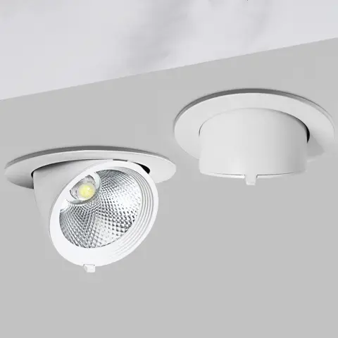 Elephant Trunk Light Recessed Spotlight