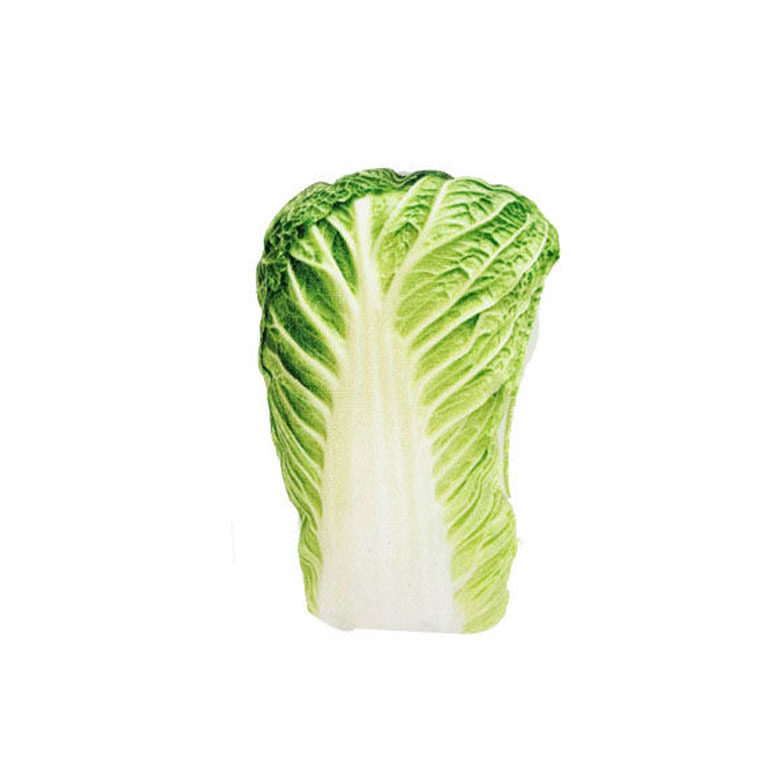 Chinese cabbage