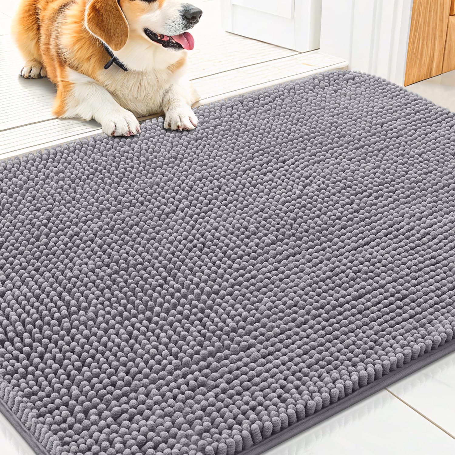 Dog Door Mat For Muddy Paws 30x20, Absorbs Moisture And Dirt Doormat, Non-Slip Washable Quick Dry Chenille Front Door Mat Indoor Entrance, Entryway Carpet For Inside Floor