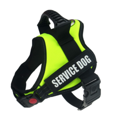 Explosion proof Chest Harness Pet Leash Fluorescent Green - Shop at LoveMi