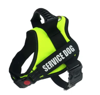 Explosion proof Chest Harness Pet Leash Fluorescent Green - Shop at LoveMi