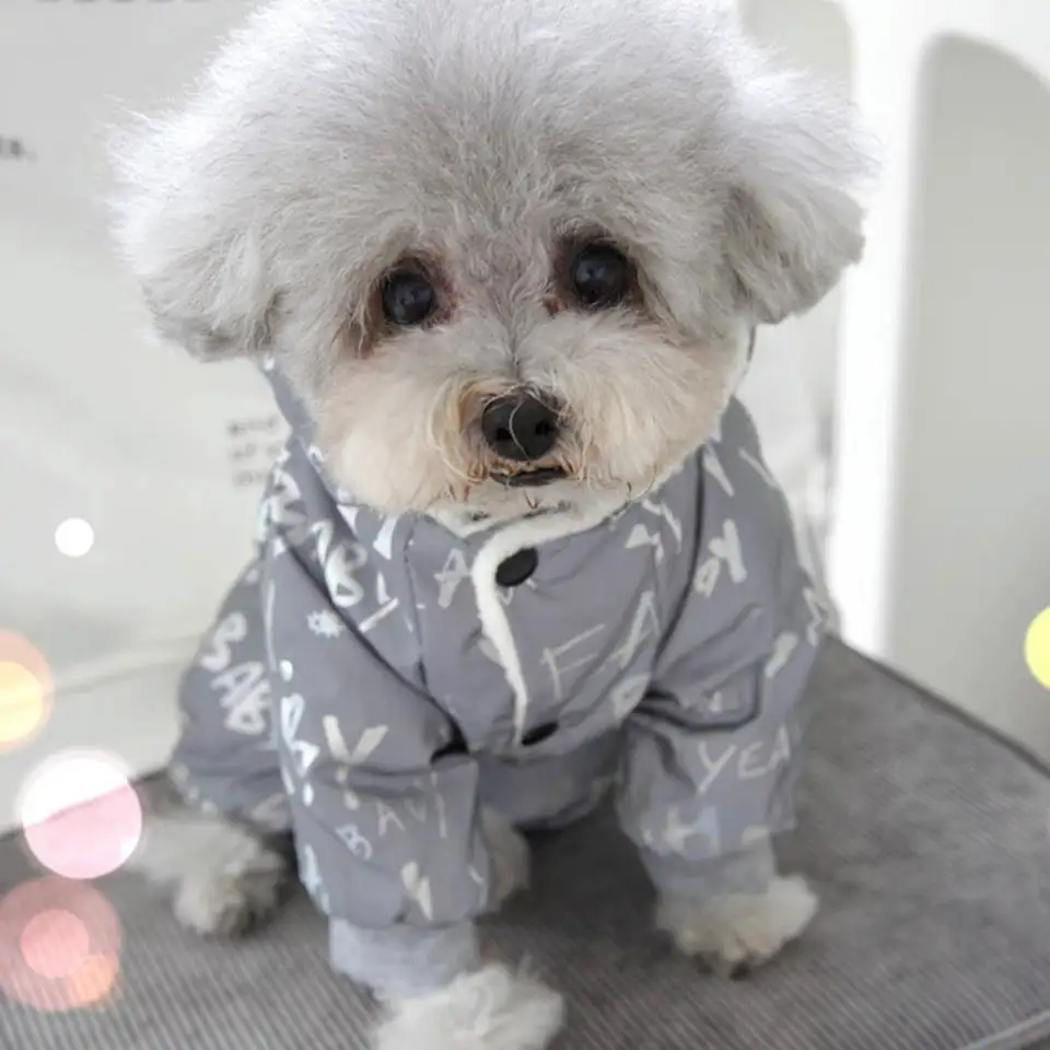 Pet Dog Autumn And Winter Clothing Cotton