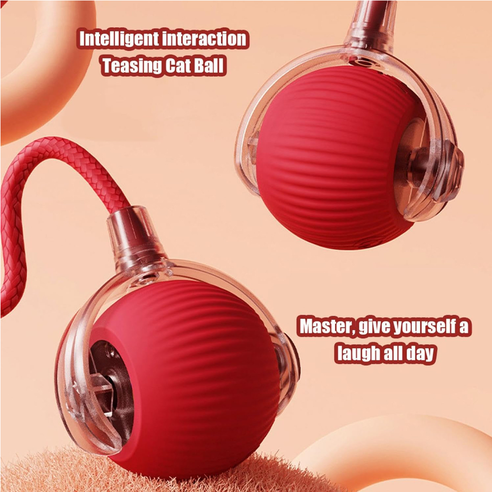 Interactive Rolling Cat Ball