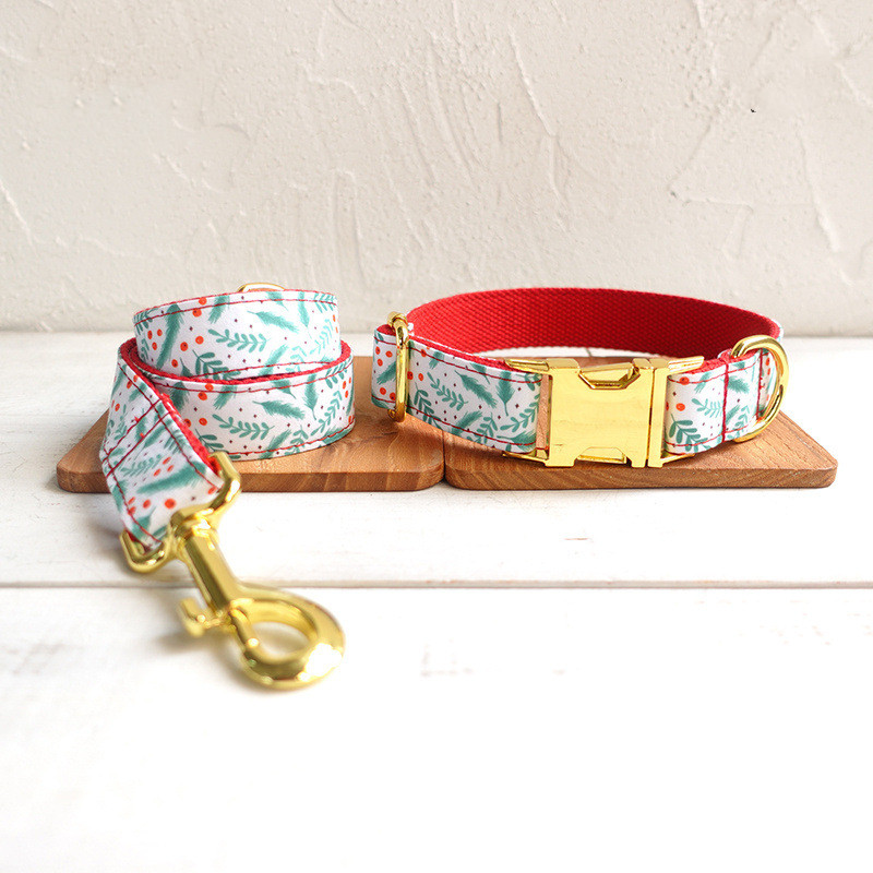 Collar Leash