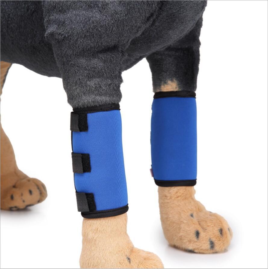 Foot protection blue