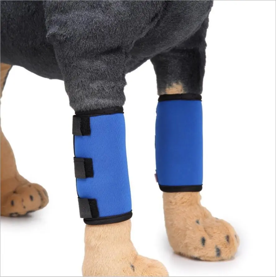 Pet Supplies Dog Leg Bracket Protective Cover - Foot Protection Blue