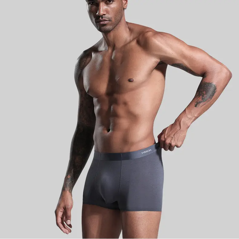 Male Modal Ice Silk No Trace Four