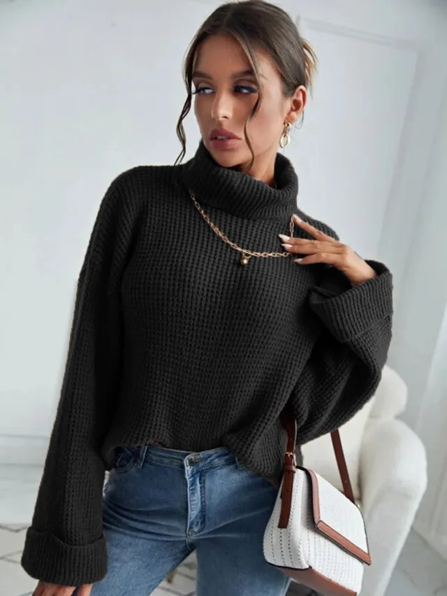 New Style High Collar Solid Color Slim Knit Sweater For Women Black - Shop at LoveMi