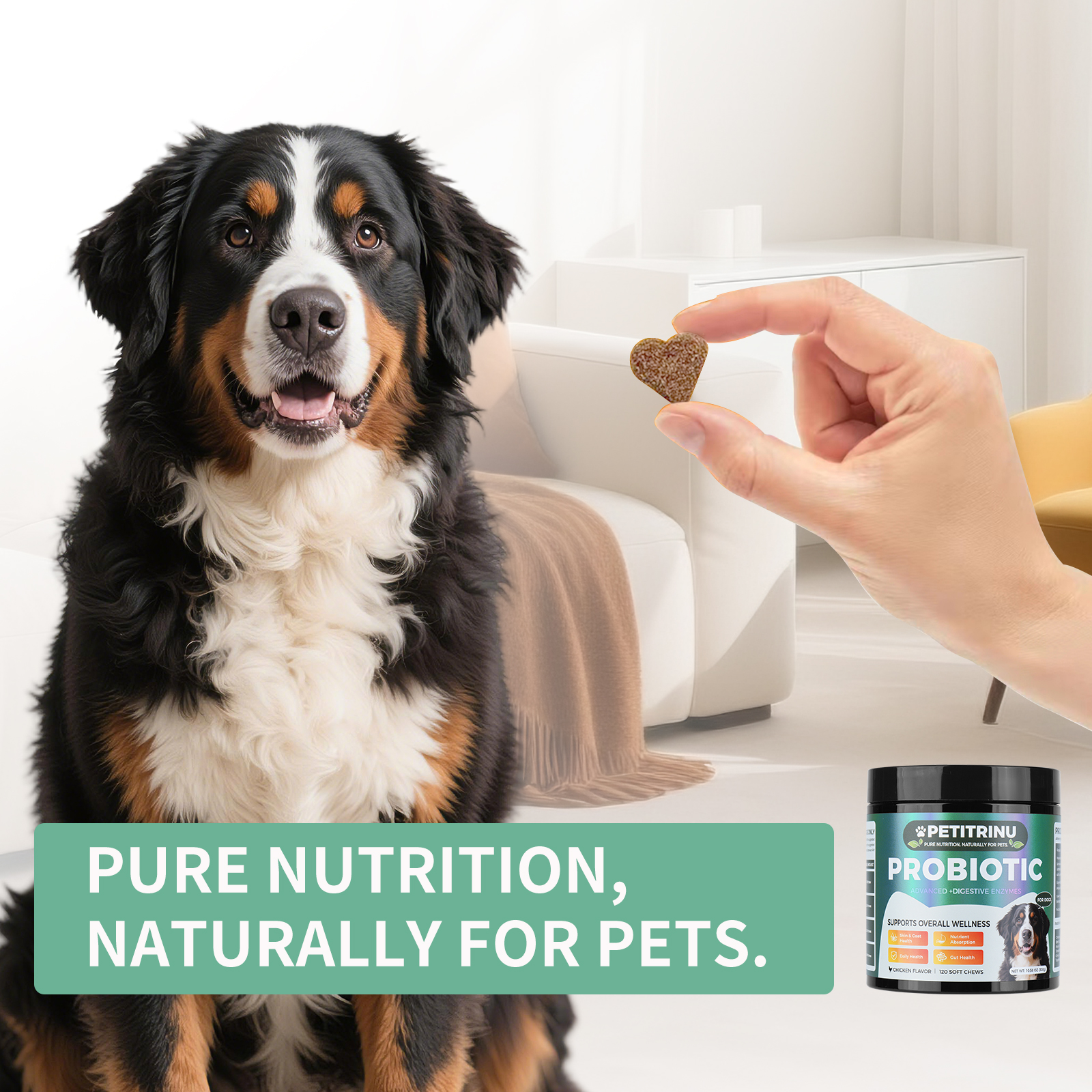 Only Self Pickup---Probiotics For Dogs — foto 17