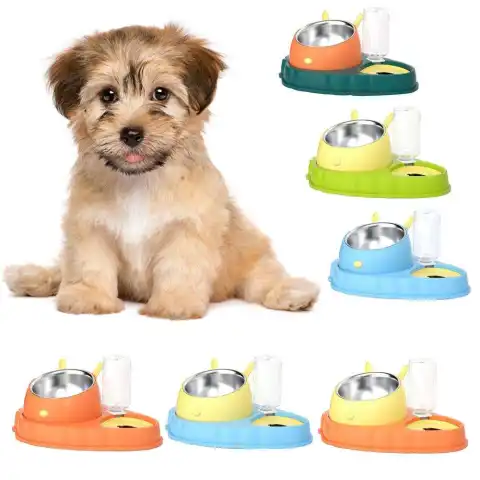 Double Bowl Stainless Steel Carrots Antiskid Pet Feeding Tool