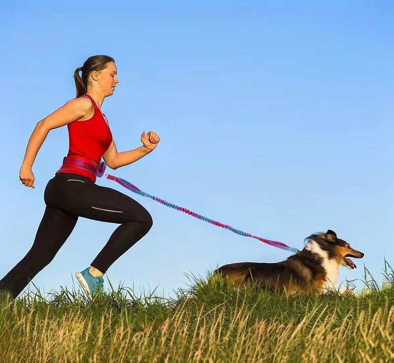 Hands-Free Dog Leash & Waist Bag