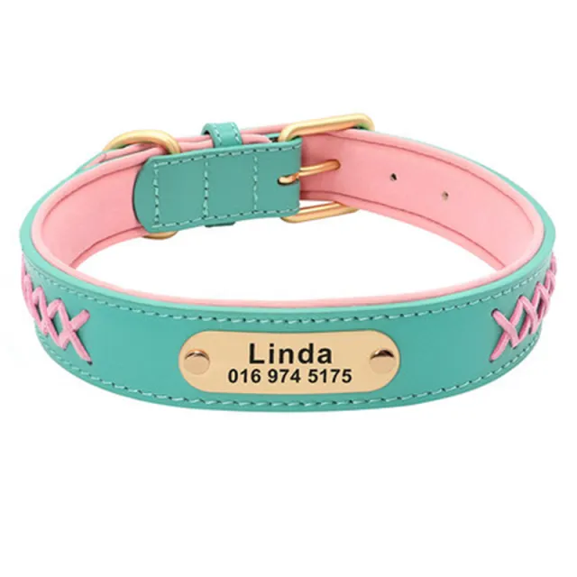 Collar Large And Medium Dog Lettering Anti lost Mint Green - Shop at LoveMi