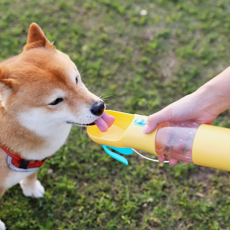 Pets Go Out Portable Feeding and Water Cup
