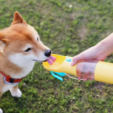 Pets Go Out Portable Feeding and Water Cup