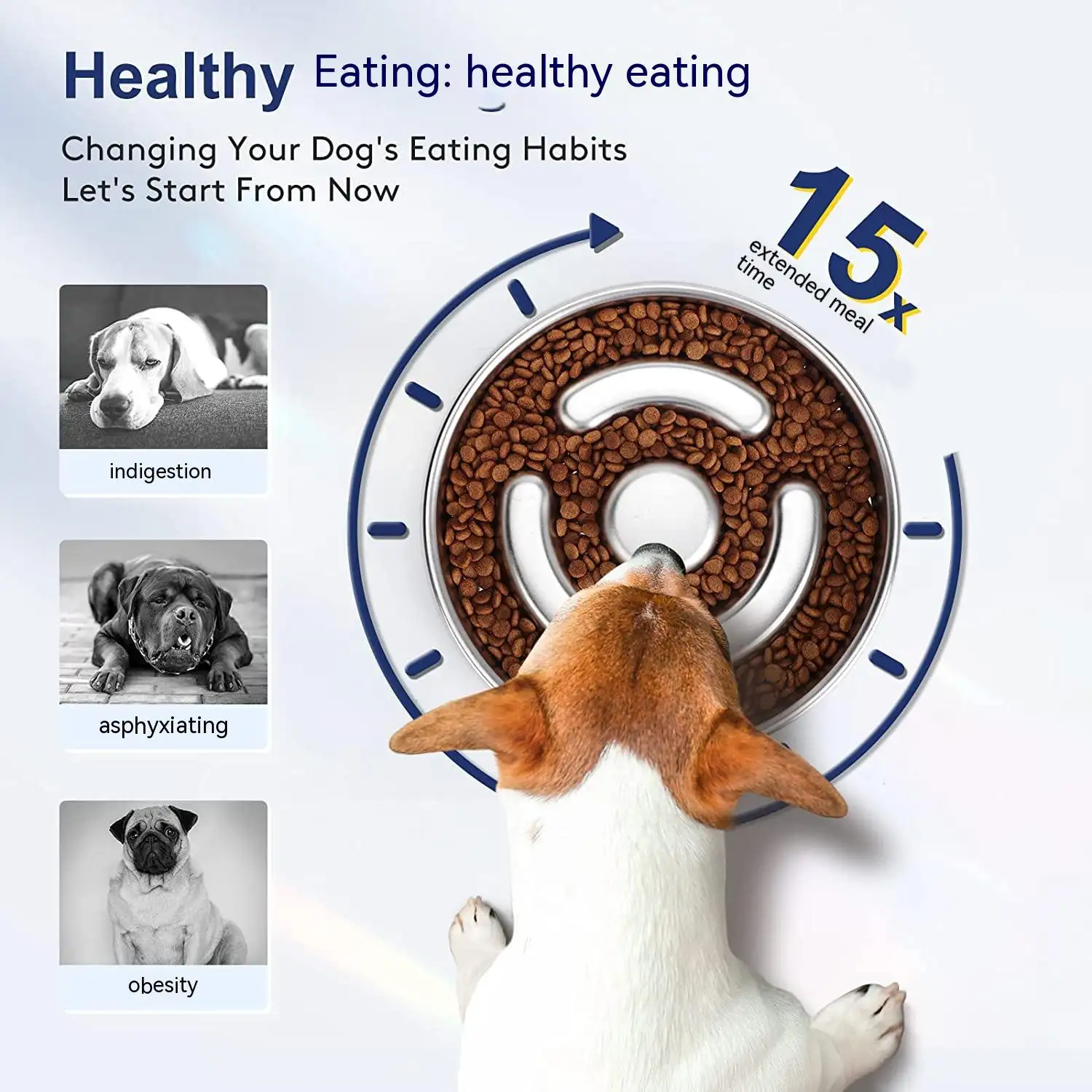 Pet Slow Feeding Bowl Stainless Steel Neck