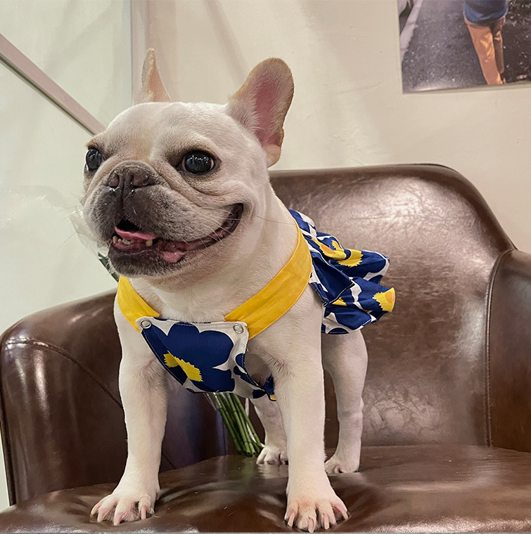 Lotus Leaf Lace Blue Cotton Print Pet Skirt