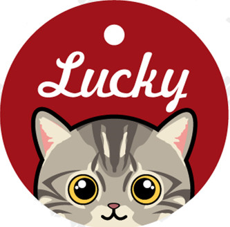 Pet Card Custom Lettering Identity Plate 10 Style - Shop at LoveMi