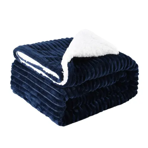Thickened Flannel Lamb Wool Composite Double Blanket Leisure Gift