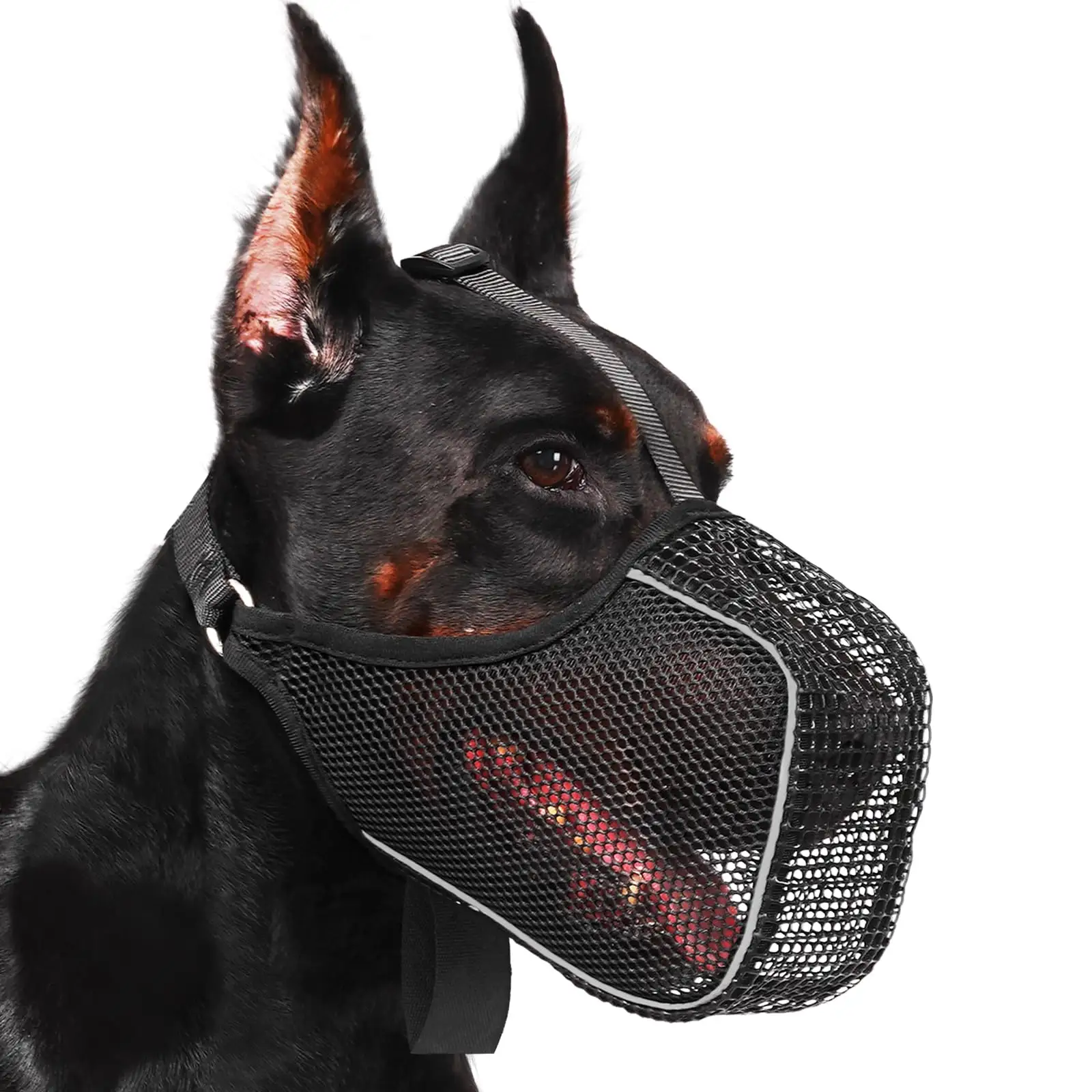 Mesh Dog Muzzle With Panting Room