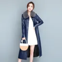Blue Fur Collar