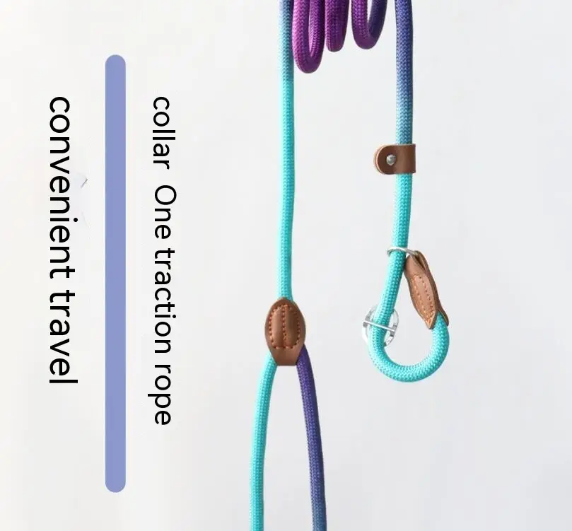 Colorful Durable Bold Nylon Pet Hand Holding Rope