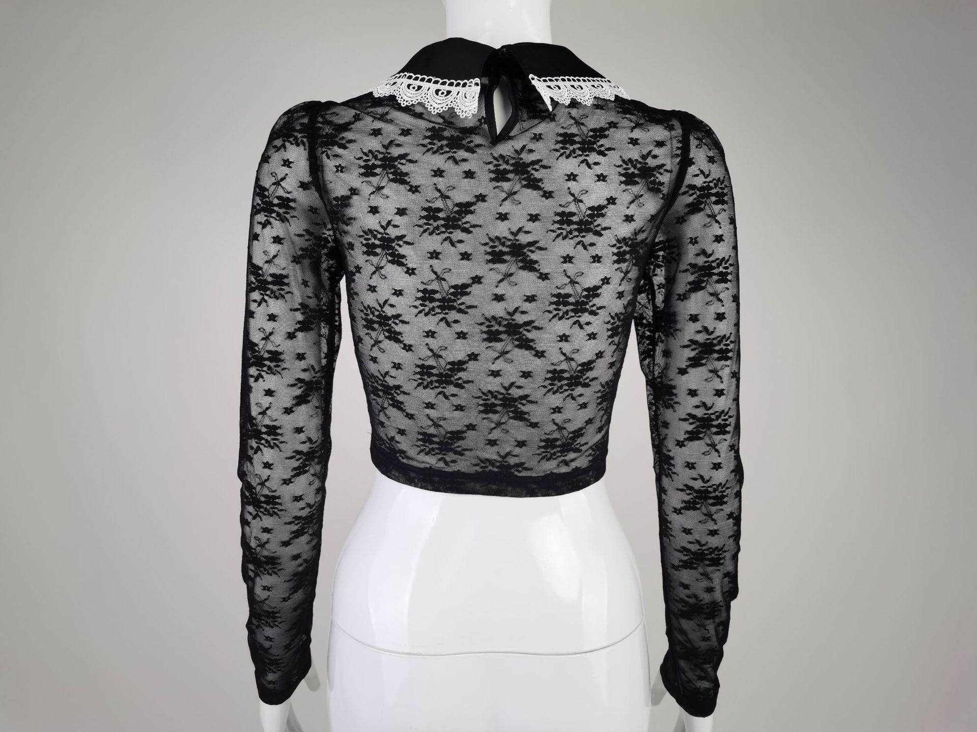 Title 6, Long Sleeve Elegant Waist Shirt Lace Shirt