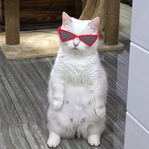 Funny Color Glasses Accessories for Dogs and Cats