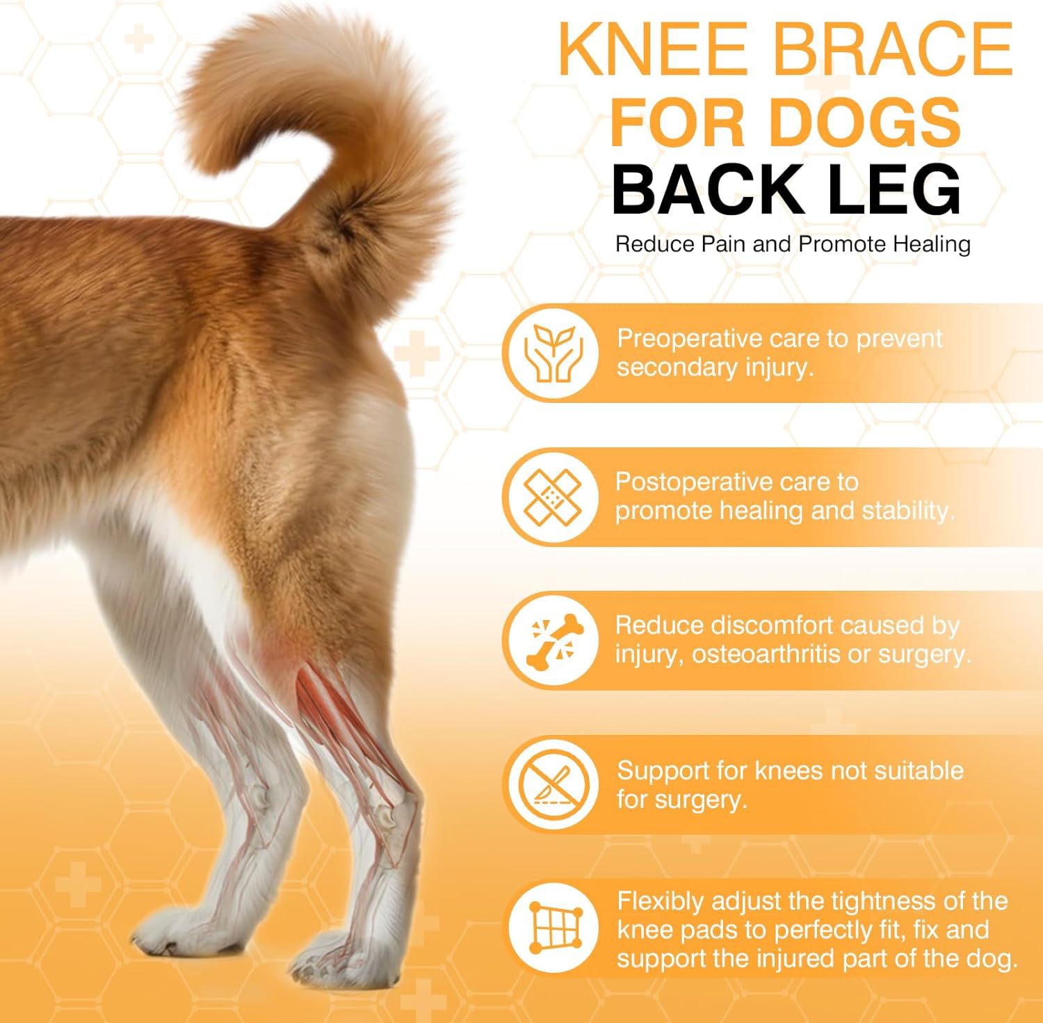 Dog Knee Brace -- Joint Protection