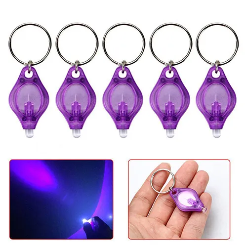 Red Light Key Buckle Mini Multicolor Purple Shell Violet Light - Shop at LoveMi