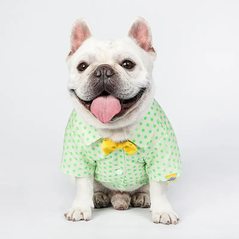 Small Medium Sized Cat Green Polka Dot Shirt With  Button