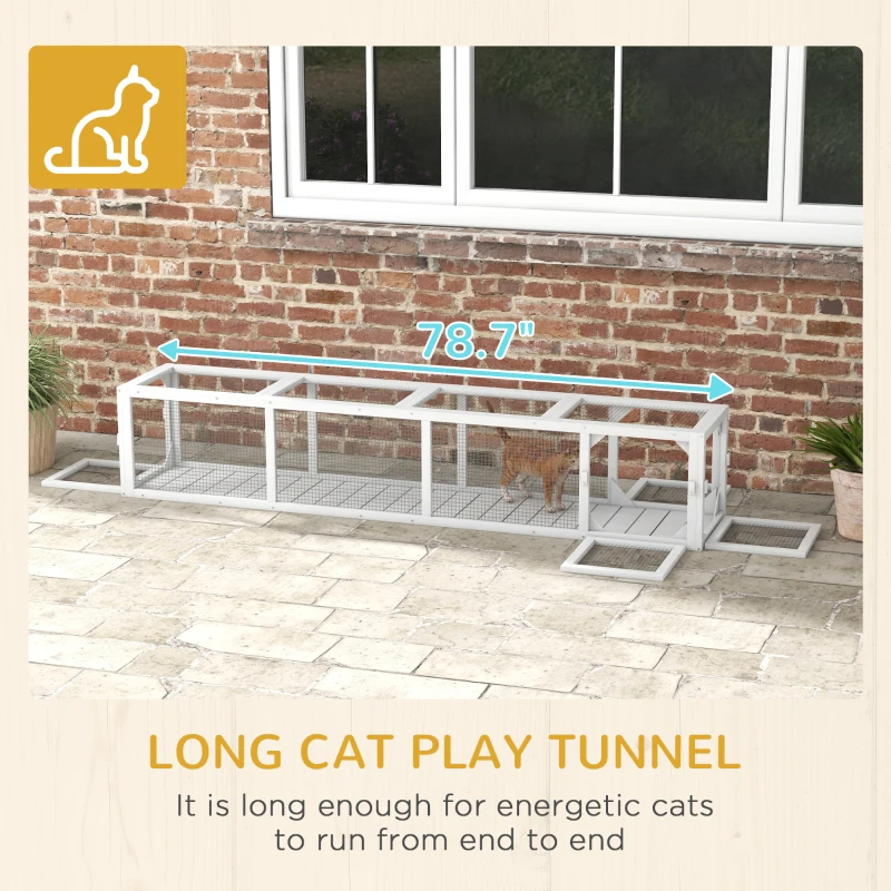 Wooden Cat Run With Weather Protection, Connecting Inside And Outside