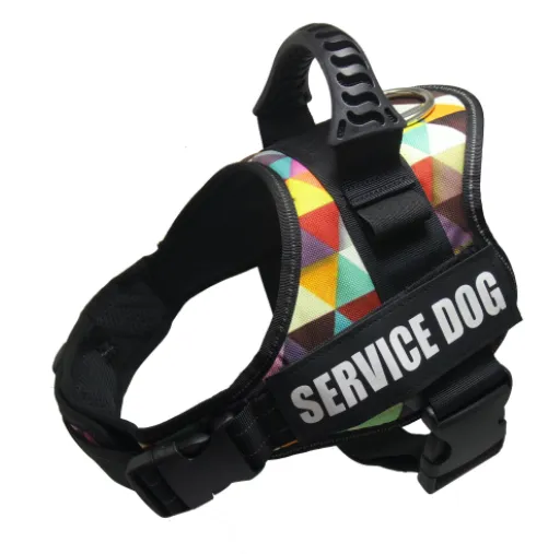 Explosion proof Chest Harness Pet Leash Triangle - Shop at LoveMi