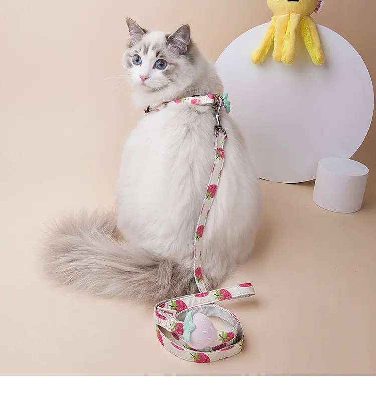 Fruit Printing Outing Dogs Series Collars Leash