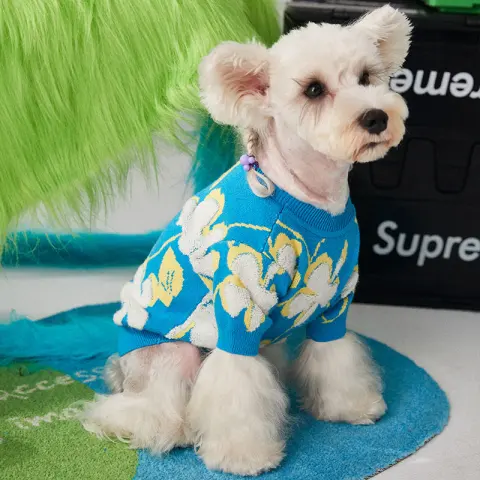 Dog Clothes Warm in Winter Teddy Bear Bomekoki Cat