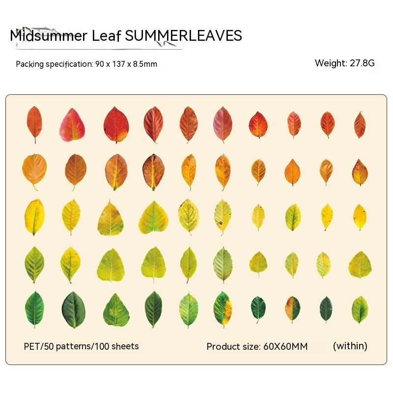 Summer Leaves