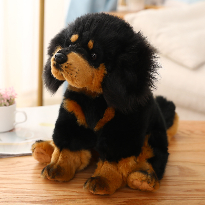 Tibetan mastiff