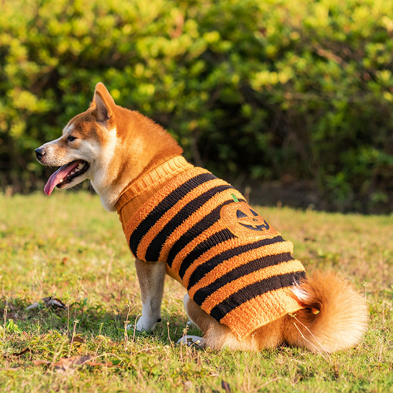 Title 4, Maglione di Halloween per cani Costume per anim...