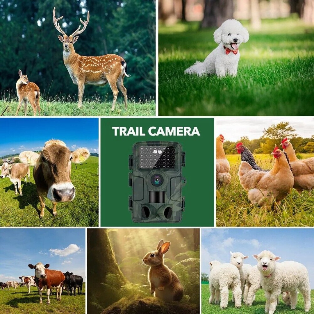 64GB 60MP Wildlife WIFI APP Trail Camera 4K Night Vision Outdoor Hunting Camera