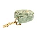 Dog Leash3